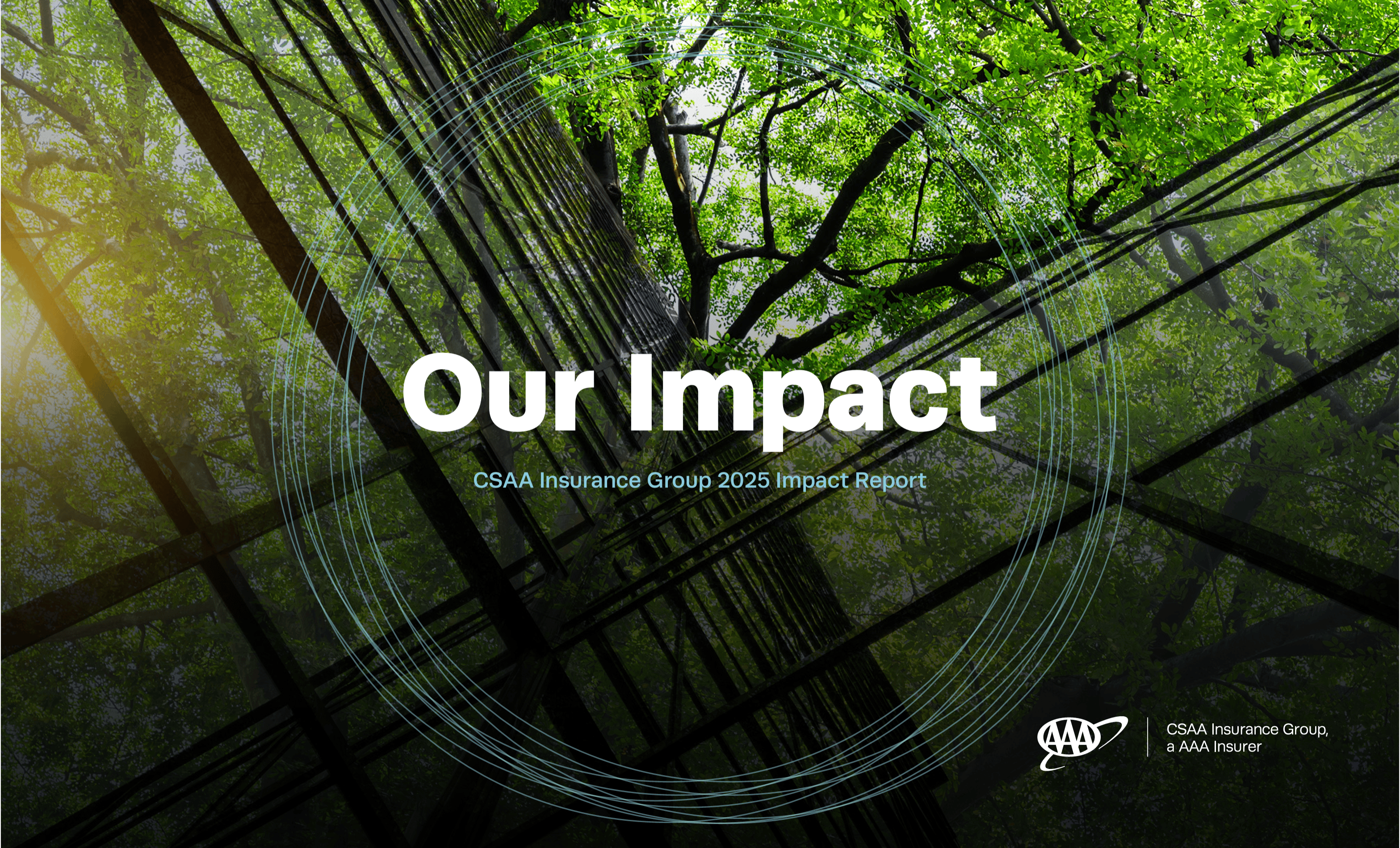 CSAA 2025 Impact Report